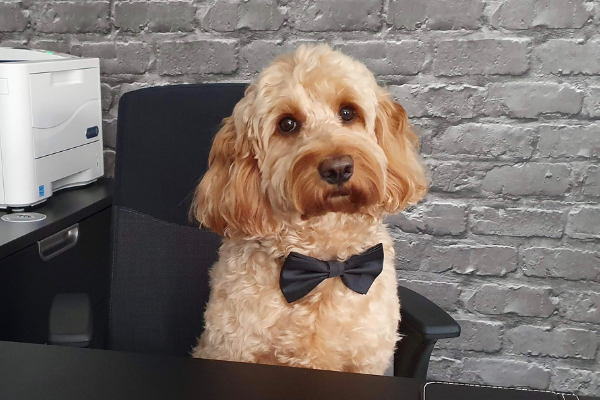 Bentley